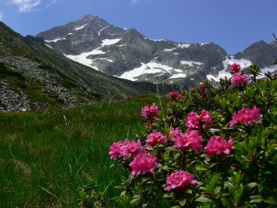 Chalet Romantic Chalet WaldschlÃ¶ssl - Environment photo 22