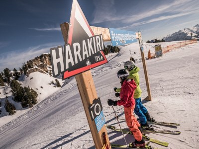 Chalet Romantic Chalet WaldschlÃ¶ssl - Environment photo 25