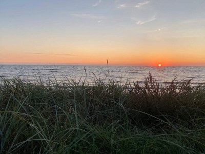 Holiday house Seaside Escape in Gedser - By Traum Ferienwohnungen - Outdoor photo 7