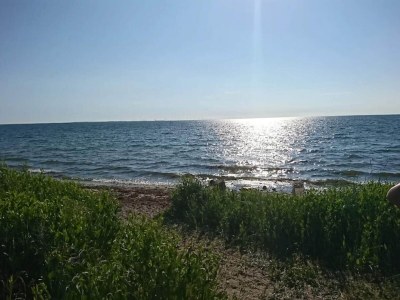 Holiday house Seaside Escape in Gedser - By Traum Ferienwohnungen - Outdoor photo 23