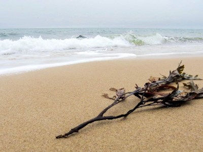 Holiday house 8 Personen Ferienhaus in Gilleleje-By Traum - Outdoor photo 37