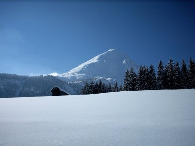 Holiday apartment Haus Landfrieden - Environment photo 19