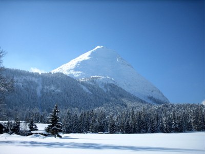 Holiday apartment Haus Landfrieden - Environment photo 23