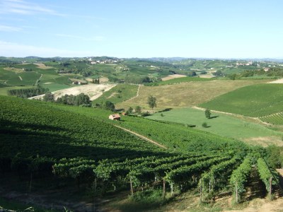 Holiday apartment Brachetto in Villa Pesce - Environment photo 14