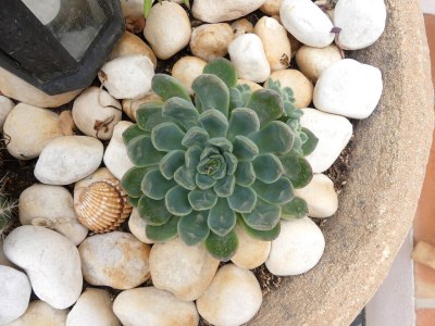 Holiday house Caballito de Mar - Outdoor photo 15