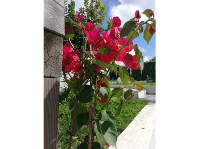 Holiday house "Traditional large house with pool" - Outdoor photo 2