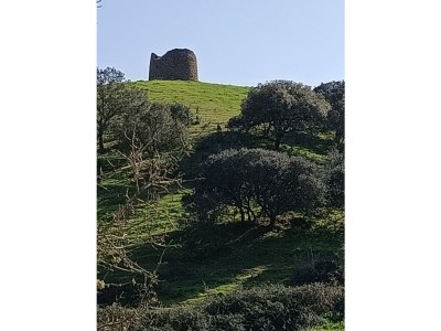 Holiday house "Traditional large house with pool" - Environment photo 25