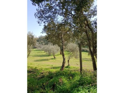 Holiday house "Traditional large house with pool" - Environment photo 26