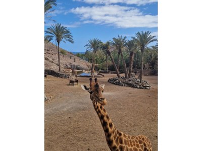 Villa Sol 18 - Environment photo 23