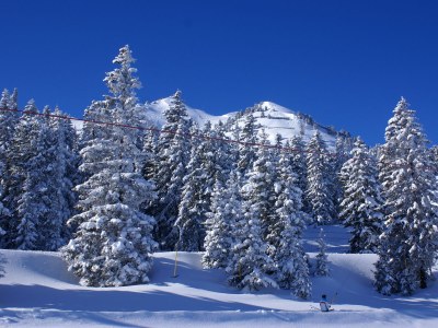 Apartment Edelweiss - Environment photo 16