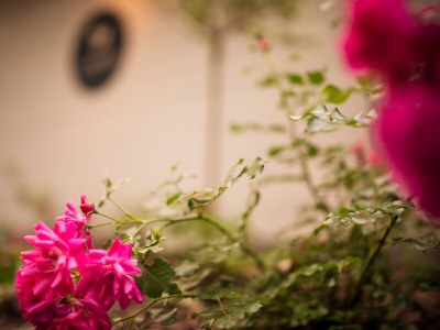 Holiday apartment Little Suite Apartment 1 - Outdoor photo 6