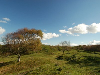 Apartment Luxury in the center of Domburg - Environment photo 22