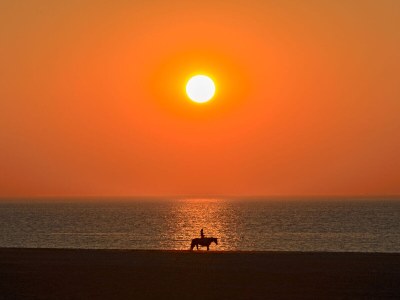 Apartment Luxury in the center of Domburg - Environment photo 23