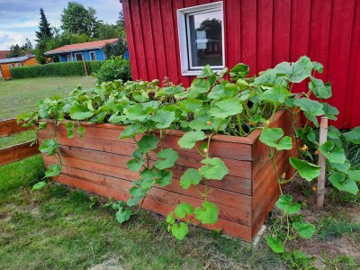 Holiday house Ferienhaus am Oase am Vilzsee - Outdoor photo 2