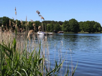 Holiday house Ferienhaus am Oase am Vilzsee - Environment photo 26