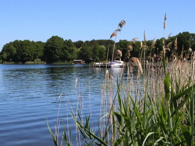 Holiday house Ferienhaus am Oase am Vilzsee - Environment photo 32