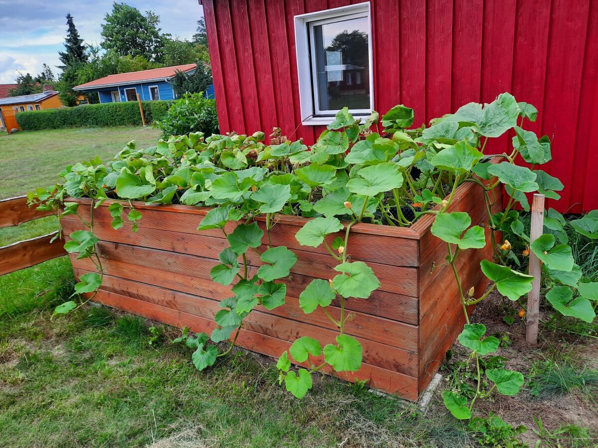 Holiday house Ferienhaus am Vilzsee, Mirow - Outdoor photo 3