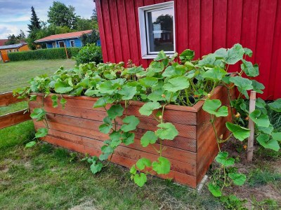 Holiday house Ferienhaus am Vilzsee, Mirow - Outdoor photo 3
