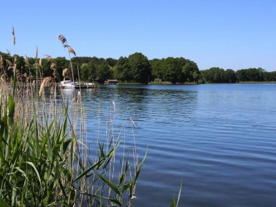 Holiday house Ferienhaus am Vilzsee, Mirow - Environment photo 25