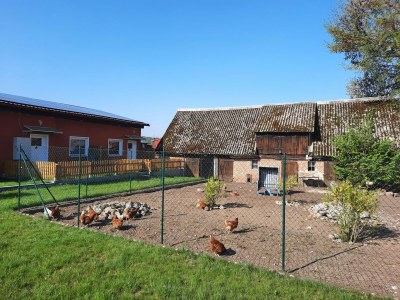 Holiday house Ferienhaus am Vilzsee, Mirow - Environment photo 26