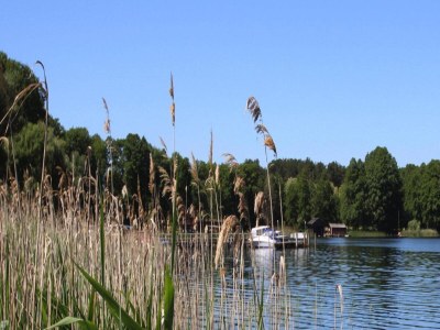 Holiday house Ferienhaus am Vilzsee, Mirow - Outdoor photo 28