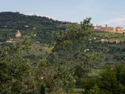 Holiday house Casetta del Glicine - Environment photo 25