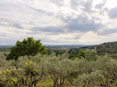 Holiday house Casetta del Glicine - Environment photo 26