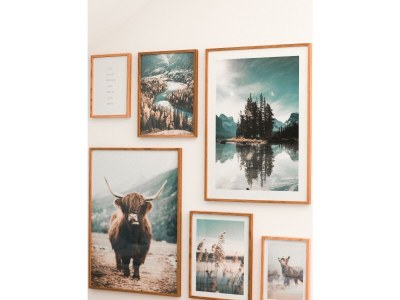 Apartment 4-Bett-Ferienwohnung Zur Dietzenley - Features photo 17