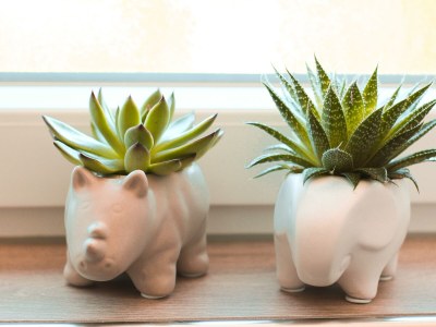 Apartment 4-Bett-Ferienwohnung Zur Dietzenley - Features photo 23