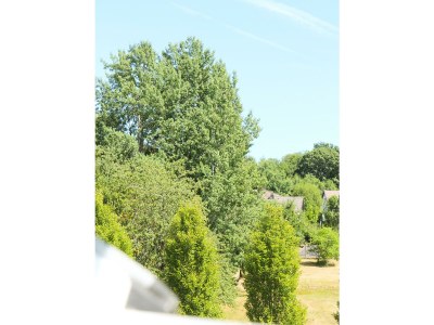 Apartment 4-Bett-Ferienwohnung Zur Dietzenley - Features photo 31