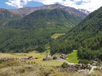 Holiday apartment Waldruhe - Environment photo 11