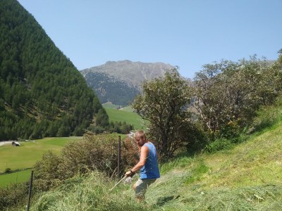 Holiday apartment Waldruhe - Environment photo 12