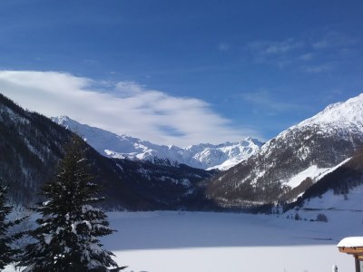 Holiday apartment Waldruhe - Environment photo 13