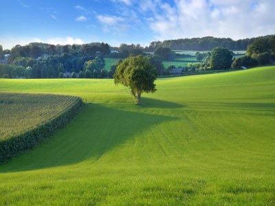 Farmhouse Attractive apartment in South Limburg - Environment photo 17