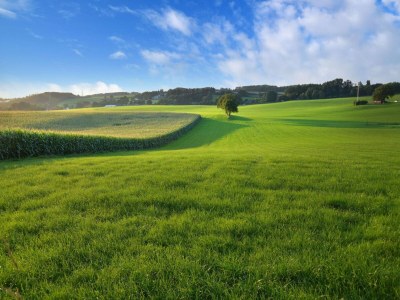 Farmhouse Attractive apartment in South Limburg - Environment photo 20