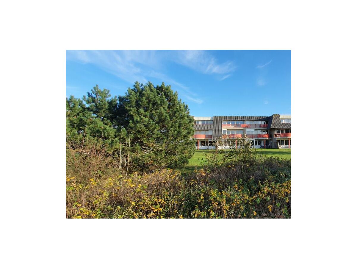 Holiday apartment Urlaubsbrise 52 - Outdoor photo 3