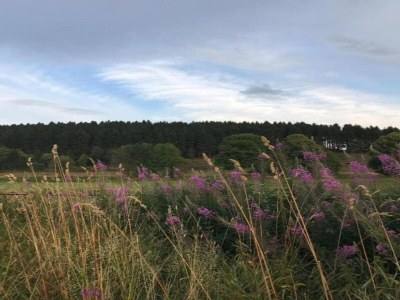 Apartment Modern Escape in Niedersfeld - Environment photo 18