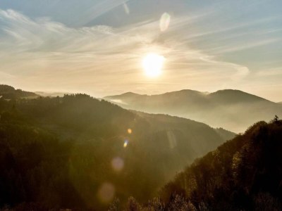 Apartment Modern Escape in Niedersfeld - Environment photo 24