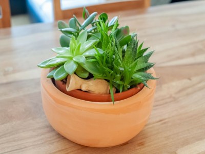 Apartment Wohnung Zwieselstein nahe Skipisten - Outdoor photo 40