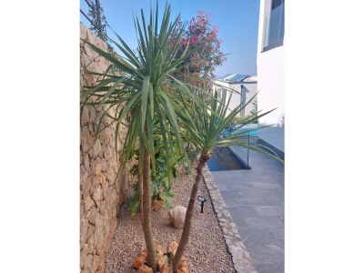 Holiday apartment Holiday apartment with pool use Island Beauty - Outdoor photo 11