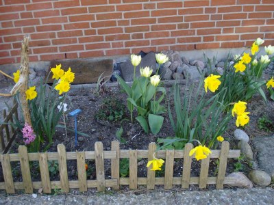 Holiday apartment Sternschnuppe - Outdoor photo 9