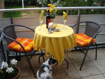 Holiday apartment Sternschnuppe - Outdoor photo 11