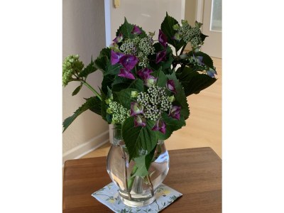 Holiday apartment Sternschnuppe - Features photo 20