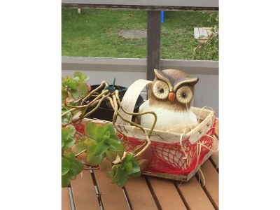 Holiday apartment Sternschnuppe - Environment photo 33