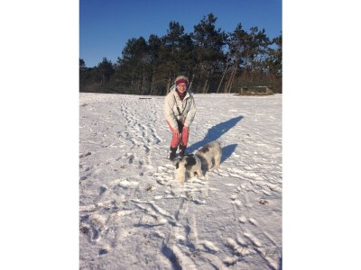 Holiday apartment Sternschnuppe - Environment photo 36