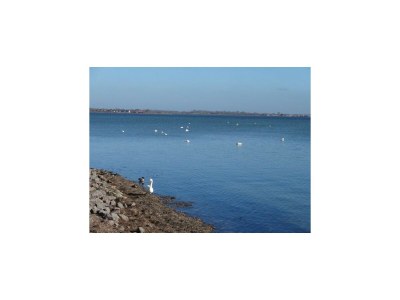 Apartment Ferienanlage Orther Reede, Fehmarn-Orth - Environment photo 33