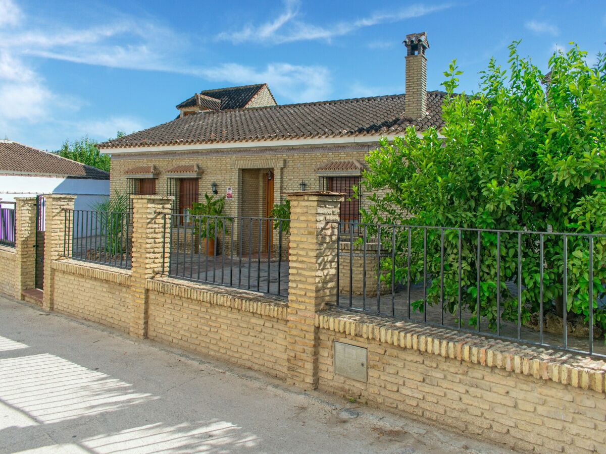 Chalet Gemütliches Chalet in Algodonales mit Bergblick