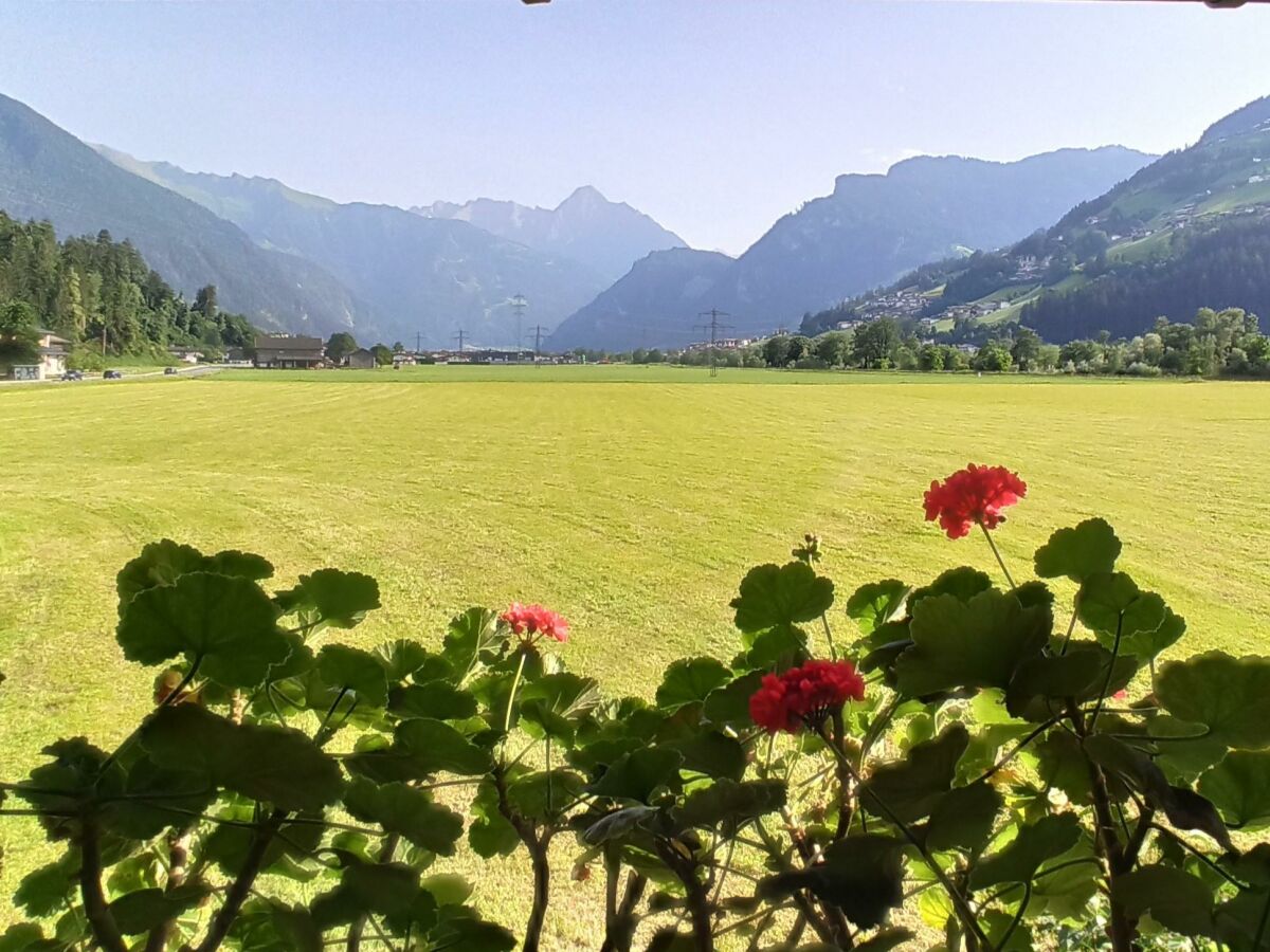 Apartment Ferienwohnung Zillertaler Alpenblick - Outdoor photo 2