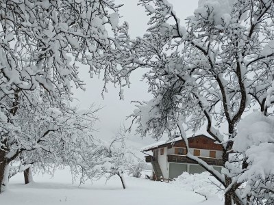 Apartment Ferienwohnung Zillertaler Alpenblick - Outdoor photo 36
