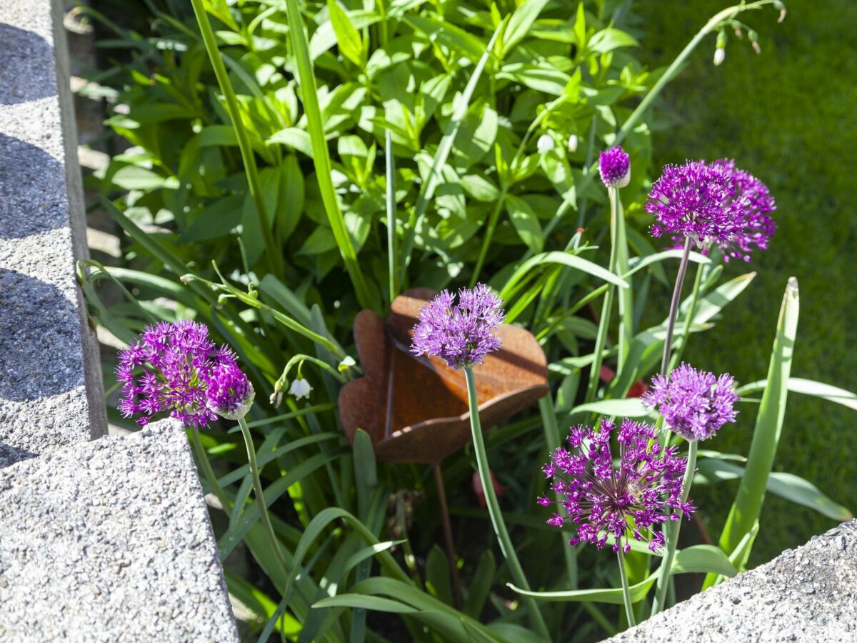 Apartment Appartement Lea - Outdoor photo 3